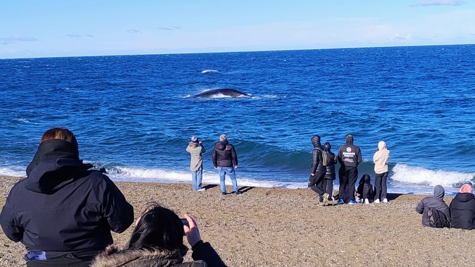 CON CUPO COMPLETO, SE LLEVARON A CABO DOS NUEVAS SALIDAS AL ANP EL DORADILLO