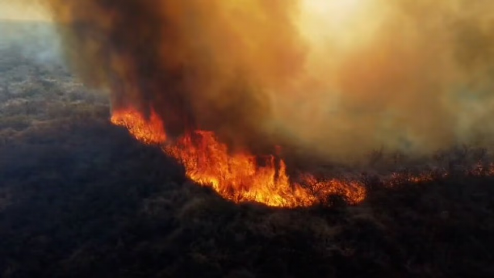 Detuvieron a un hombre tras un incendio forestal de casi 15 hectáreas