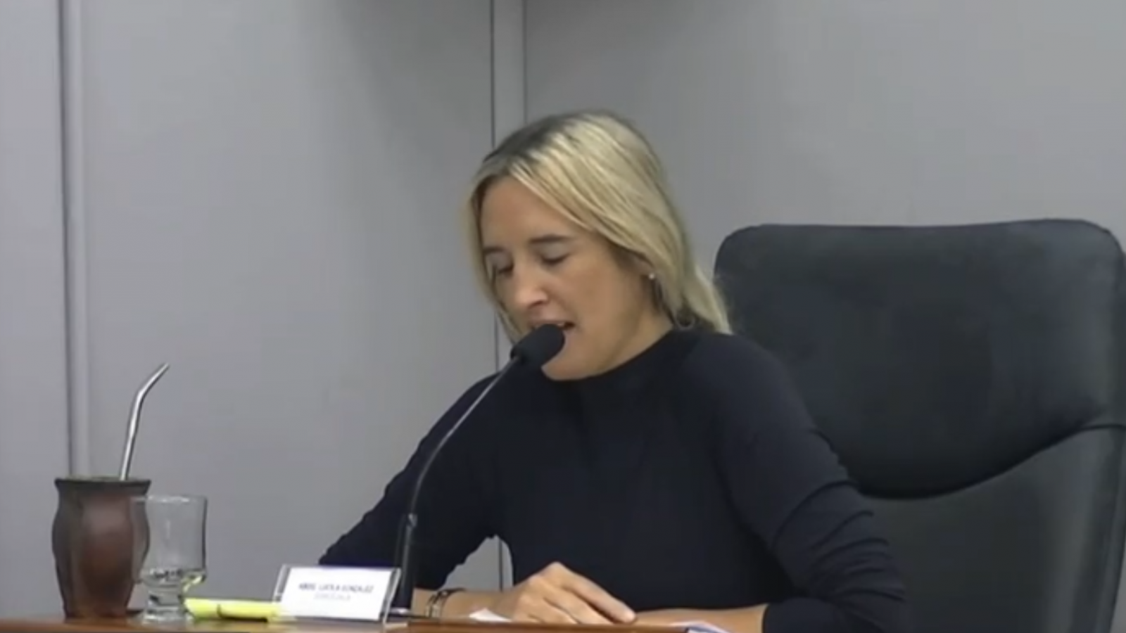 Tensión en el Concejo de Madryn: Lucila González denunció ataques políticos y "operetas" en su contra