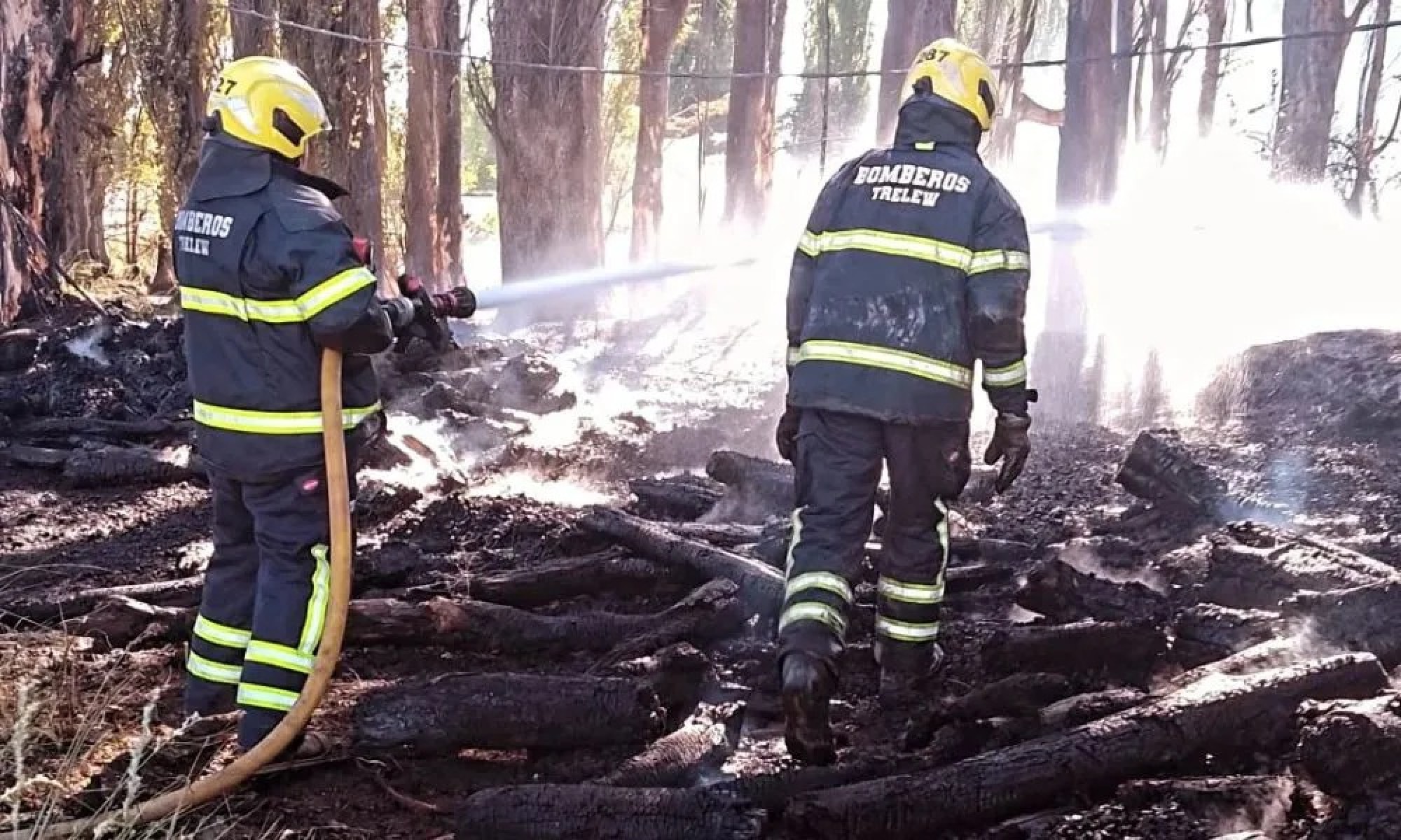 Trelew: cuatro dotaciones combatieron un incendio de álamos y troncos