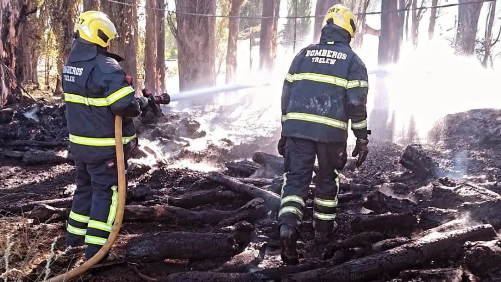 Trelew: cuatro dotaciones combatieron un incendio de álamos y troncos