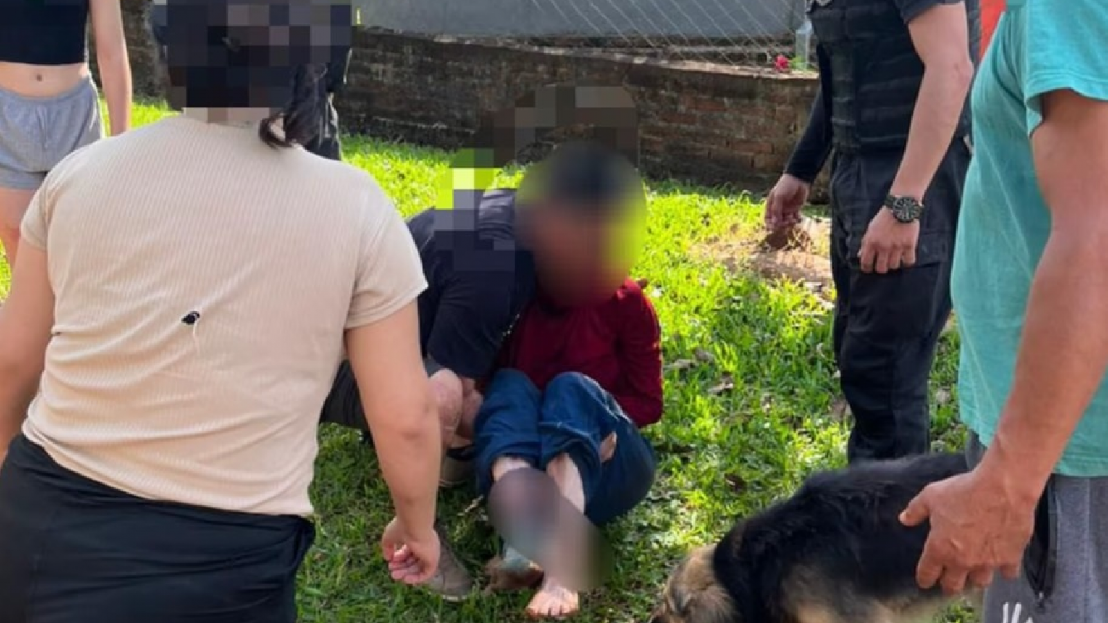 Tragedia en Misiones: un perro atacó a una jubilada de 93 años y murió