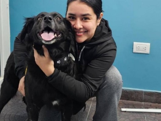 Puerto Madryn: encontraron a un perro herido y ahora tiene una familia que lo adoptó