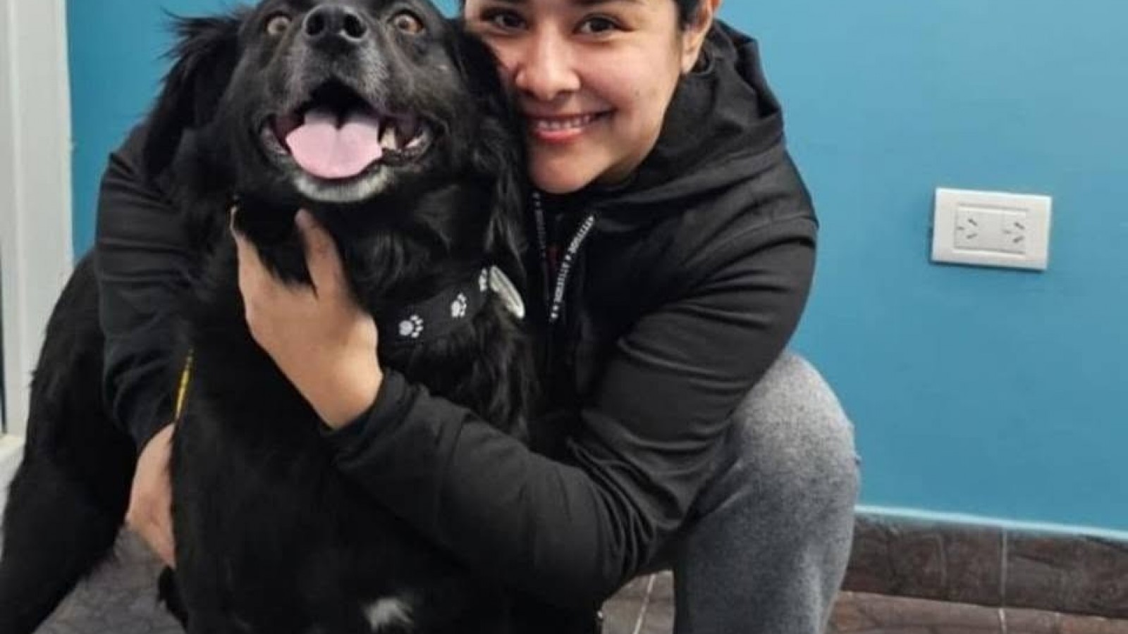 Puerto Madryn: encontraron a un perro herido y ahora tiene una familia que lo adoptó