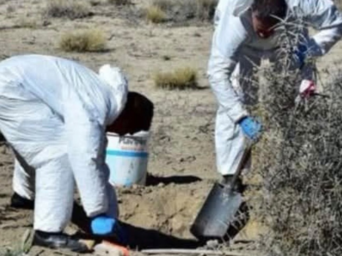 Hallaron un cráneo y más de un centenar de restos óseos cerca de la Doble Trocha