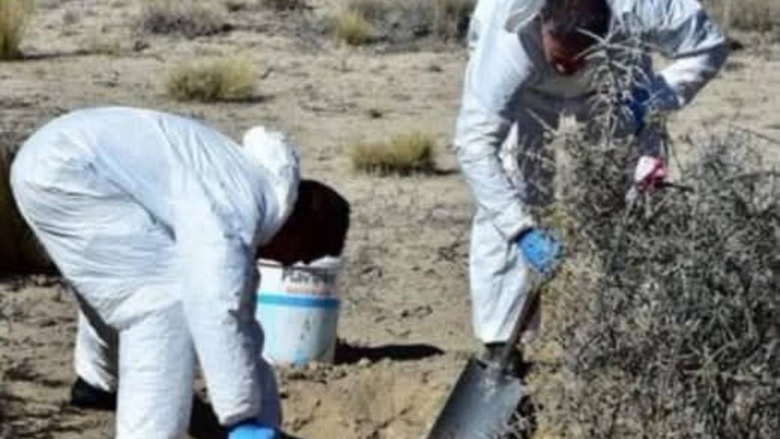 Hallaron un cráneo y más de un centenar de restos óseos cerca de la Doble Trocha
