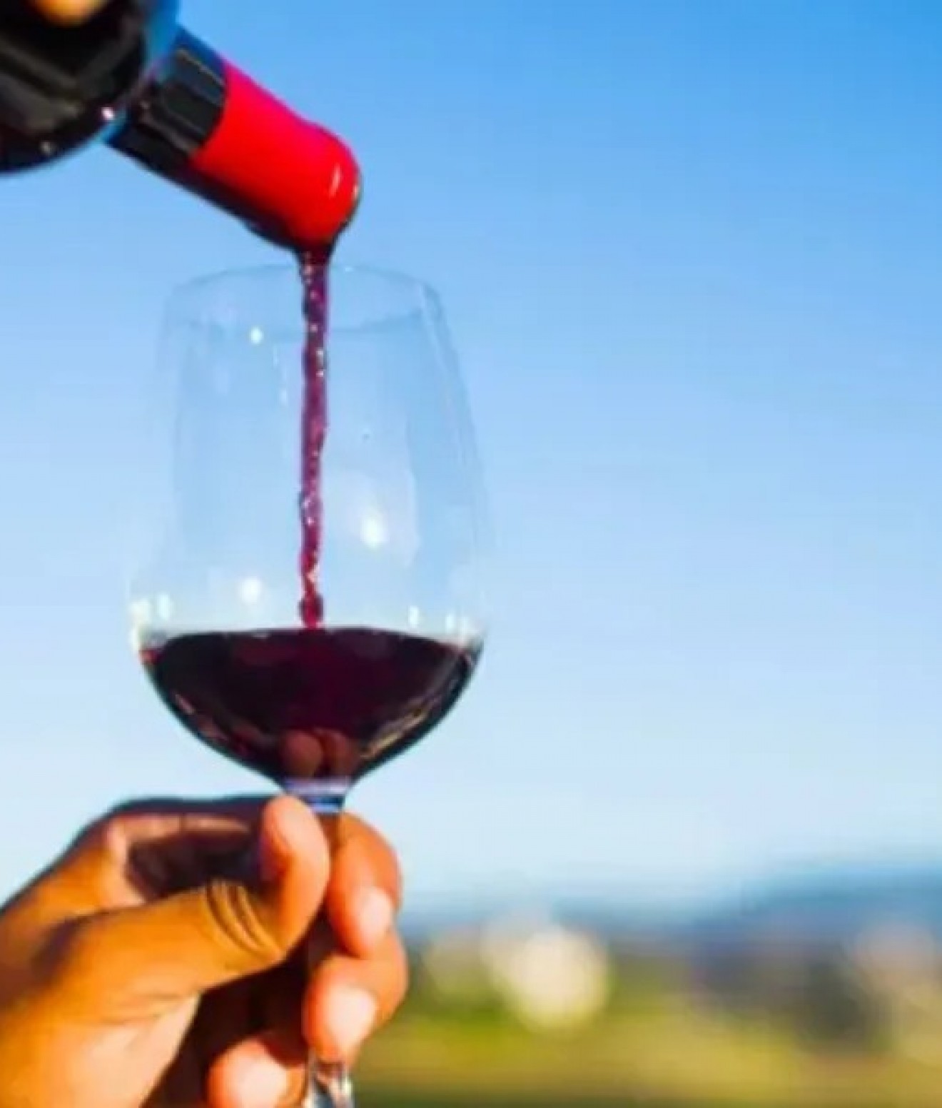 Puerto Madryn reunirá a 14 bodegas para ampliar la presencia del vino chubutense en hoteles y restaurantes