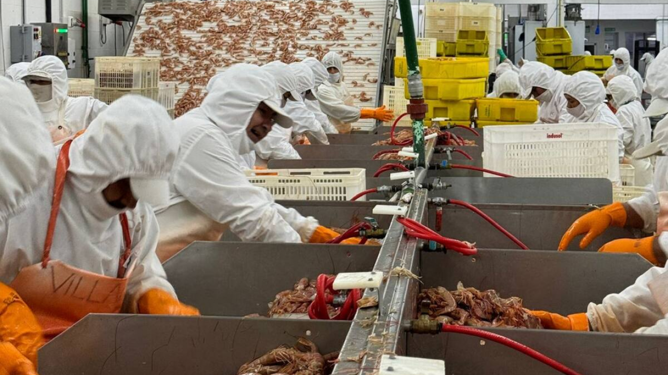 Una pesquera busca 100 empleados en Madryn y recibió 1.400 CV en pocas horas