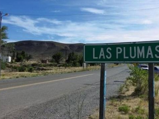 Un trabajador rural murió mientras reparaba su camioneta en un campo cerca de Las Plumas