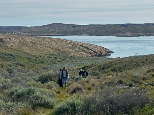 Chubut fortalece el desarrollo turístico del Parque Interjurisdiccional Marino Costero Patagonia Austral