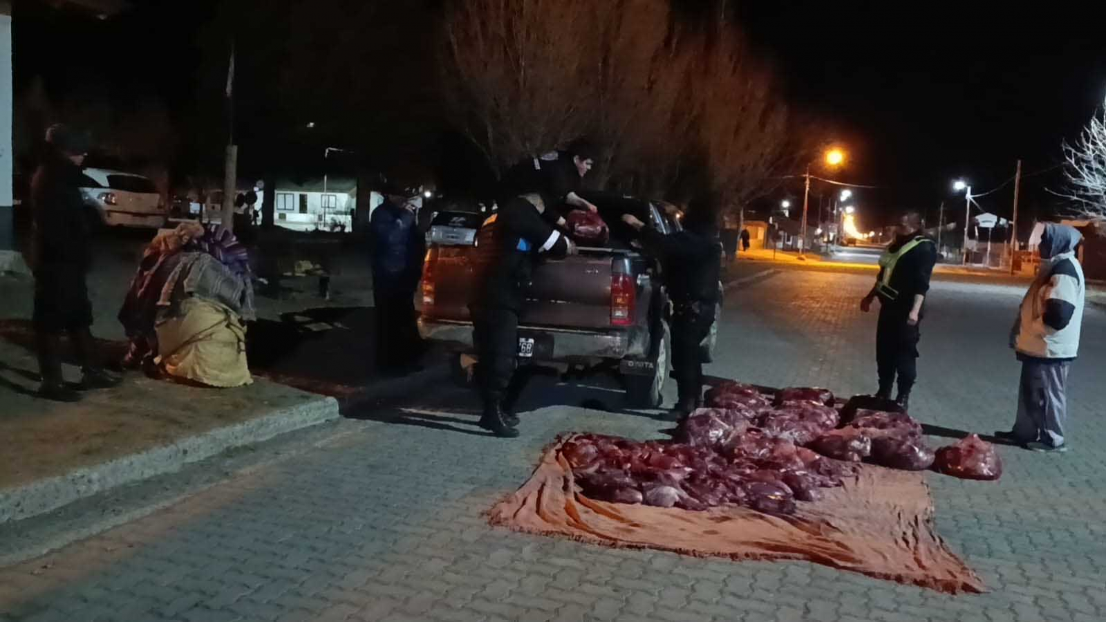 Tecka: interceptaron una camioneta con 700 kilos de carne de guanaco