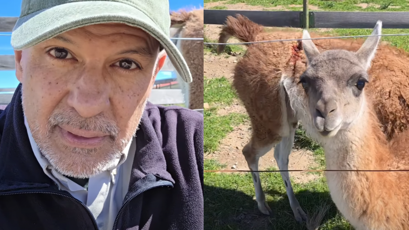 Disparos en REFAUNAR: fuerte descargo de Víctor Fratto y preocupación por un guanaco desaparecido