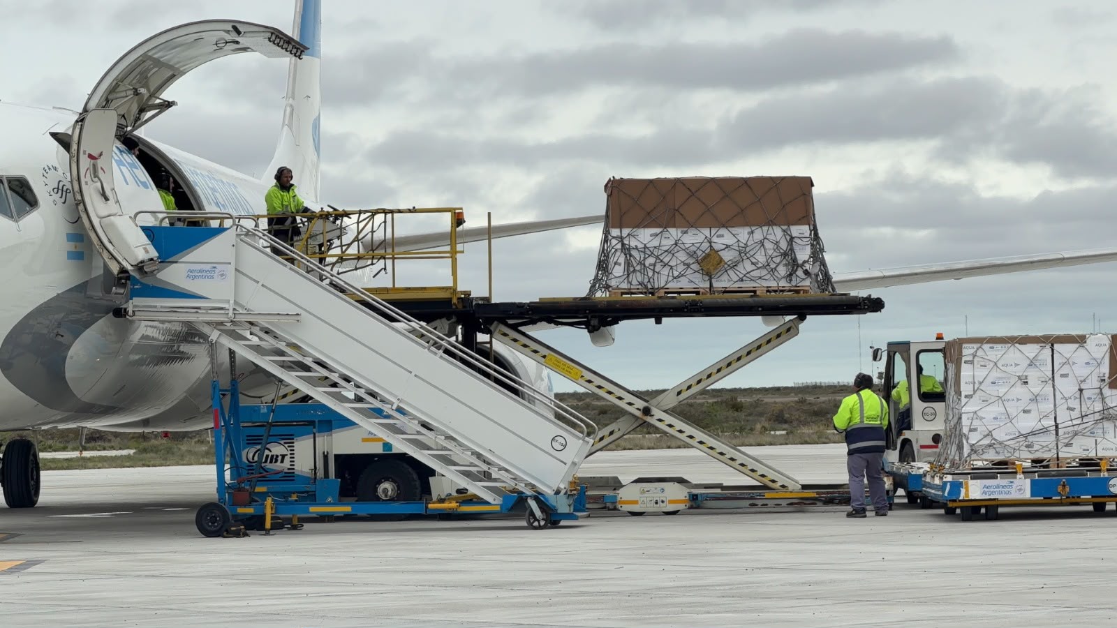 Chubut marca un hito logístico: se concretó la primera exportación de salmón del Pacífico con salida desde Trelew