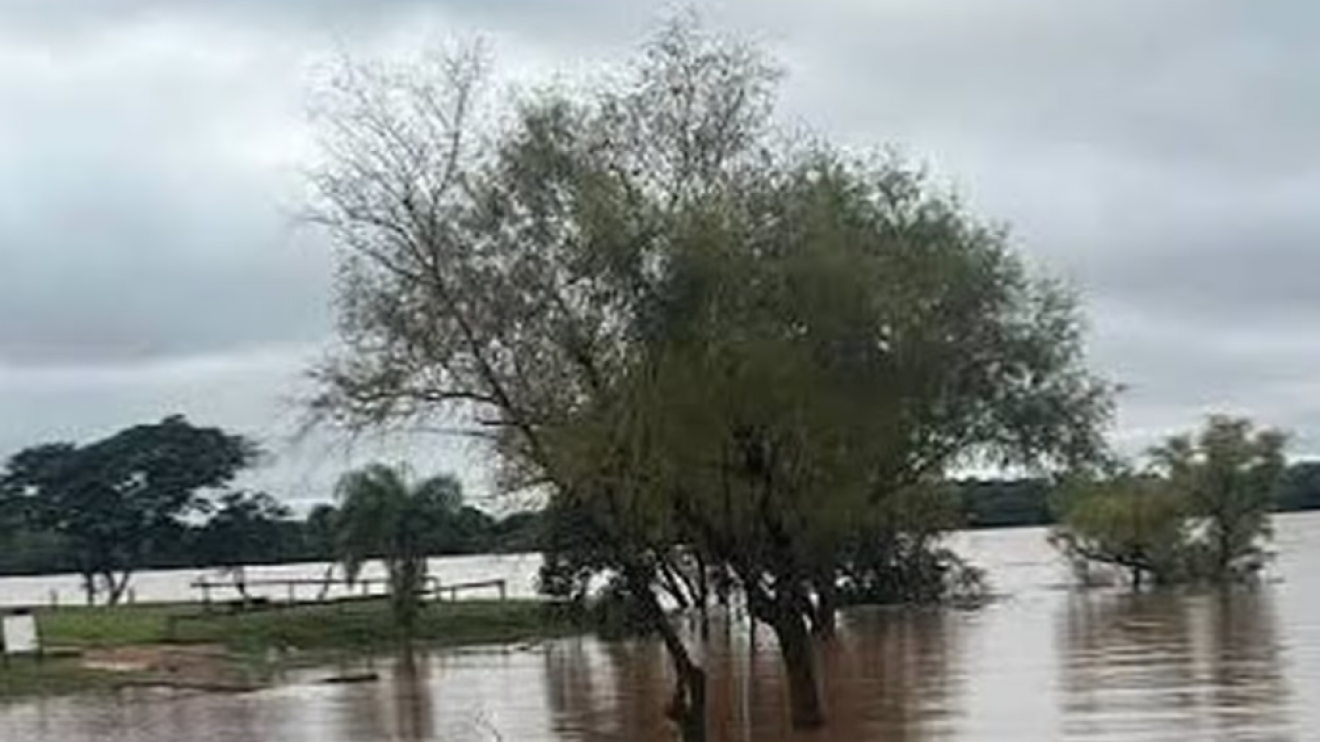 Concordia: el río Uruguay superó los 11 metros y advierten que podría llegar a los 13