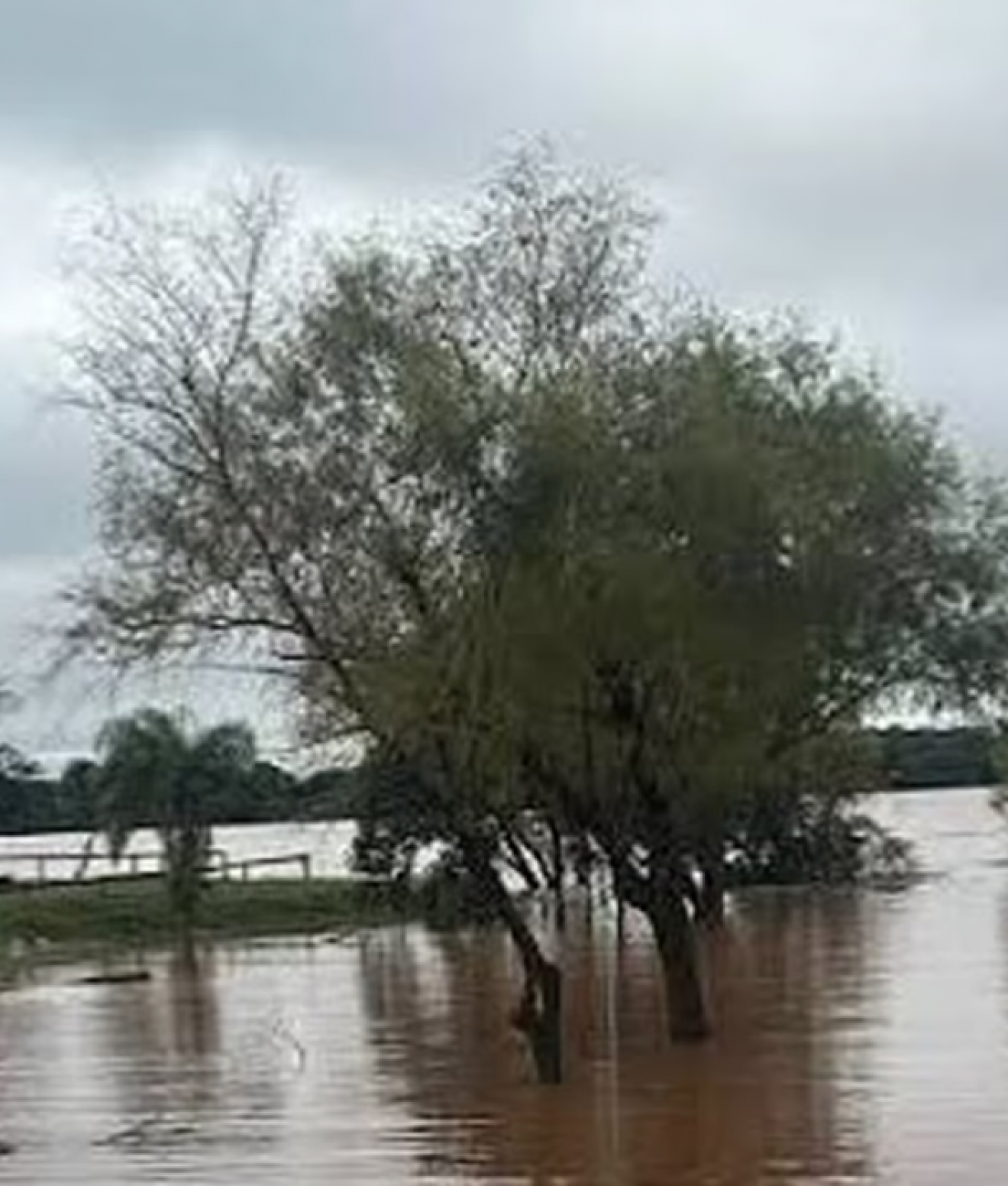 Concordia: el río Uruguay superó los 11 metros y advierten que podría llegar a los 13