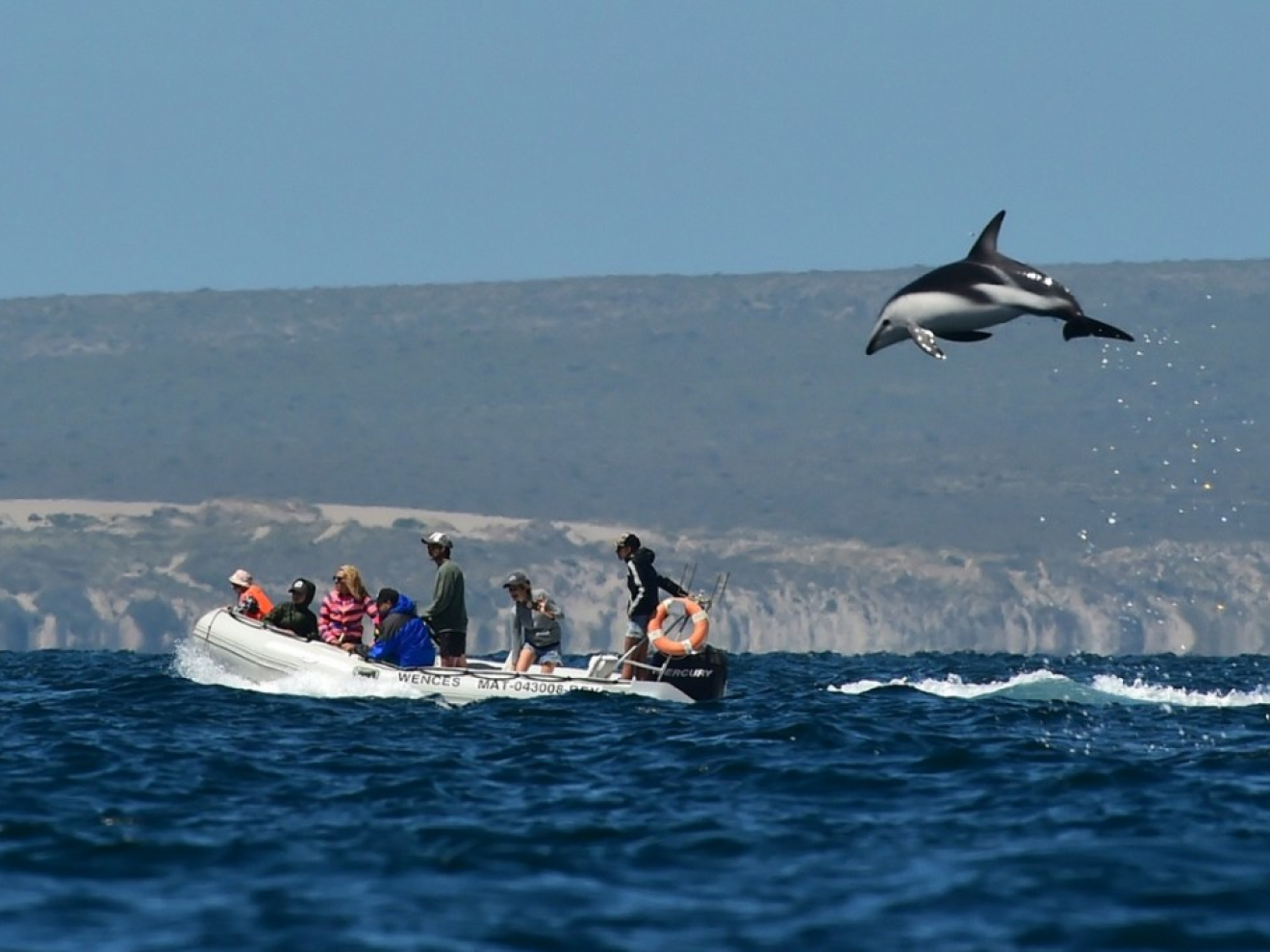 Puerto Madryn quiere saber qué piensan sus vecinos del turismo: lanzaron una encuesta para definir el futuro de la actividad