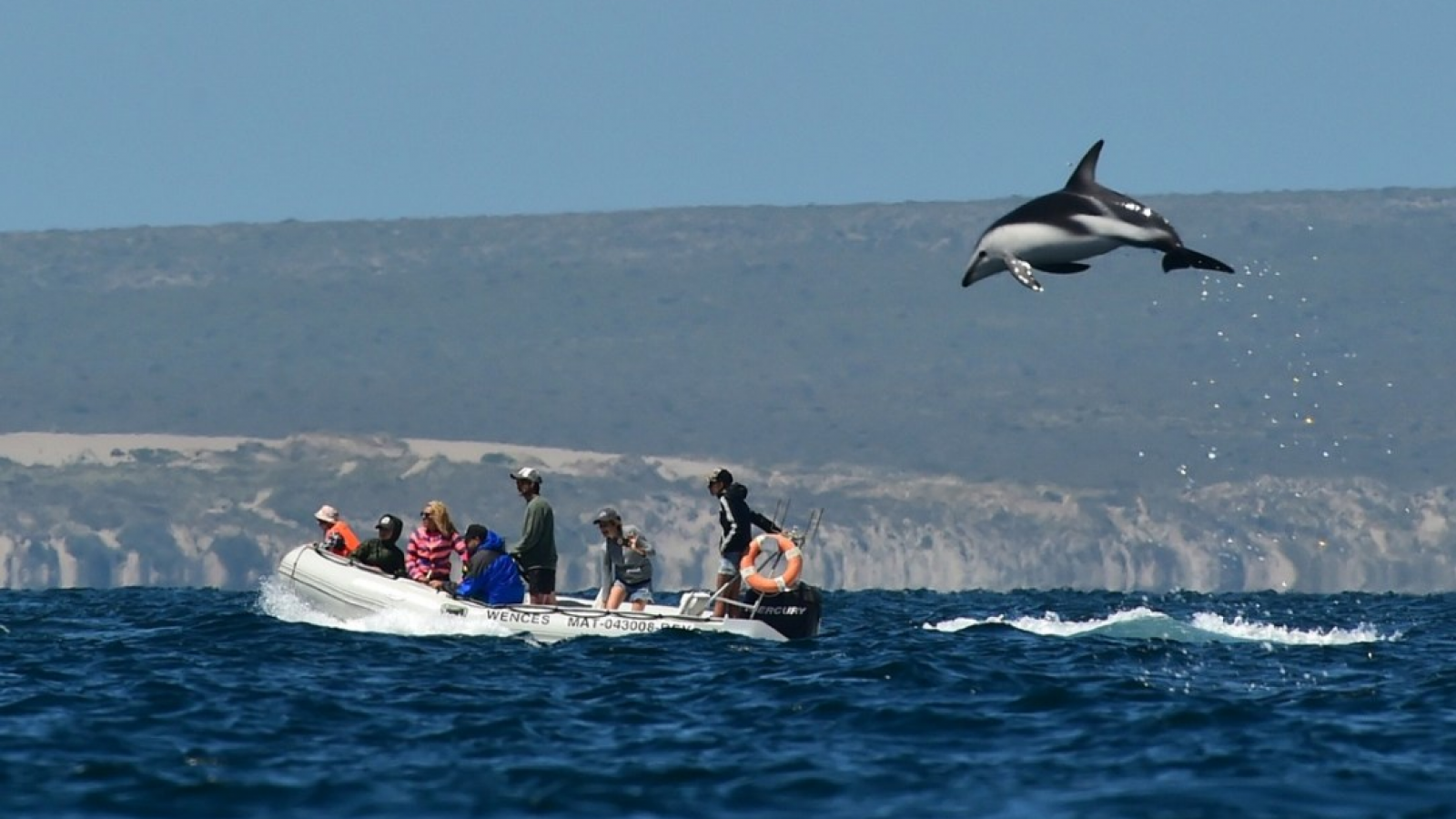 Puerto Madryn quiere saber qué piensan sus vecinos del turismo: lanzaron una encuesta para definir el futuro de la actividad