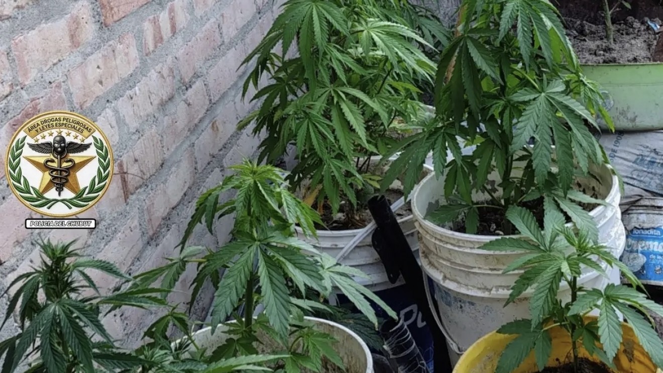 Puerto Madryn: allanaron una vivienda por presunta venta de drogas cerca de una escuela