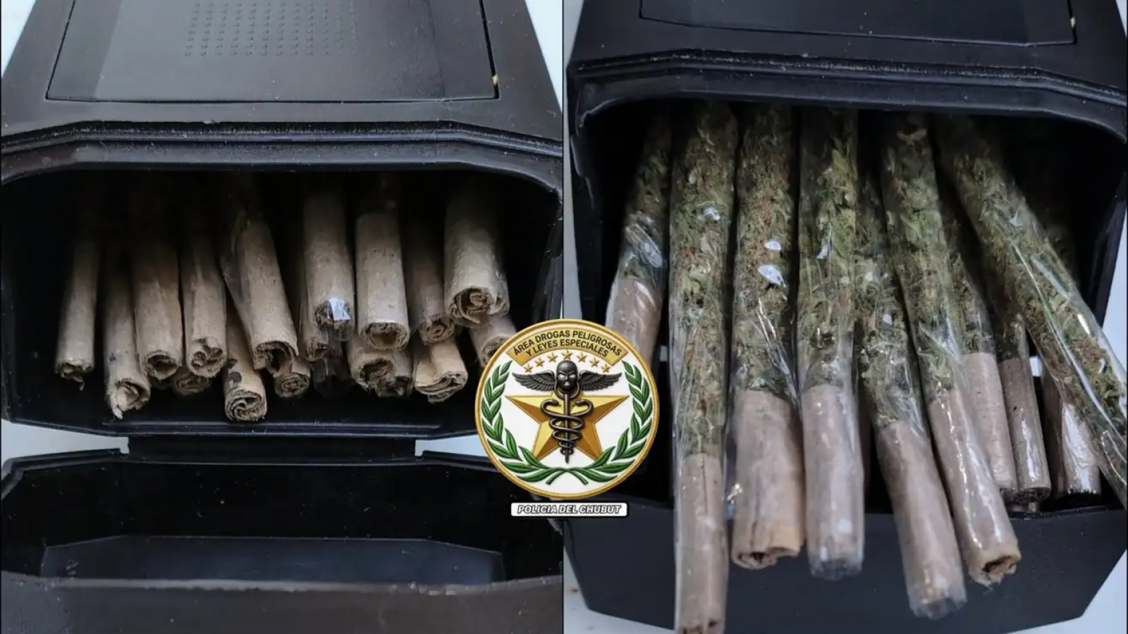 Allanaron una vivienda por presunta venta de drogas y secuestraron casi $500 mil