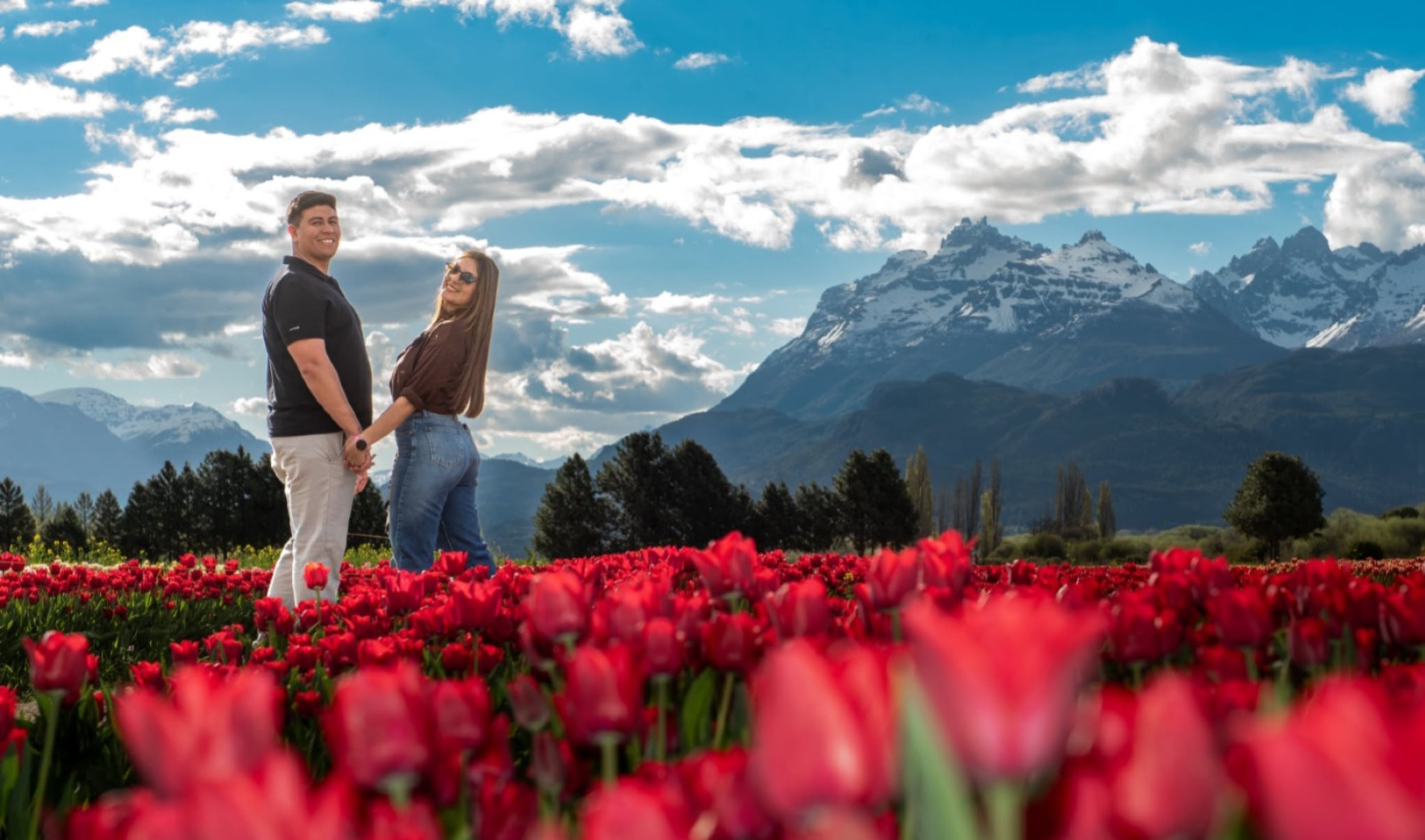 Una propuesta de matrimonio entre tulipanes y un doble arcoíris: la romántica sorpresa que tuvo lugar en Trevelin