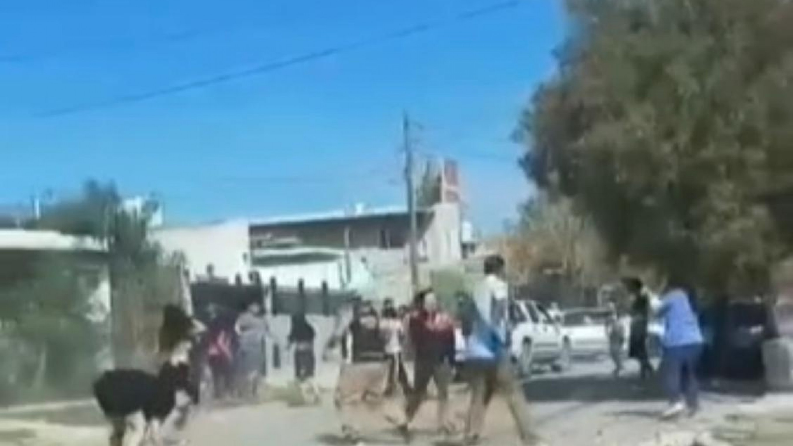 Pelea multitudinaria en el barrio San Miguel: investigan la exhibición de un arma de fuego