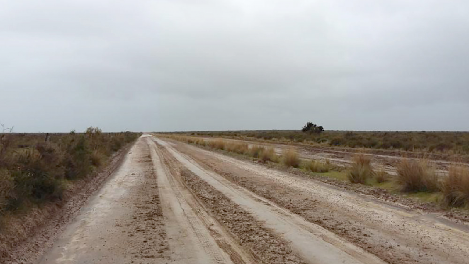 Las lluvias complican el turismo en Chubut: Península Valdés y Punta Tombo siguen con caminos cerrados
