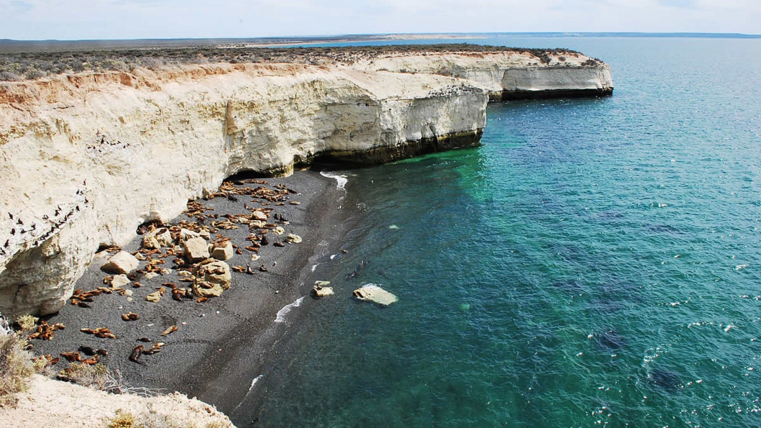 Atención en Madryn: Punta Loma continúa cerrada y no hay fecha para volver a ingresar